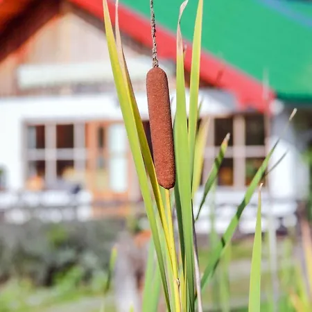 Chalet Am Brand 샬레 테게른제